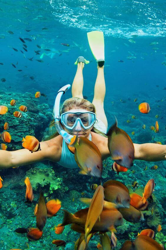 plongée et snorkeling dans la mer rouge