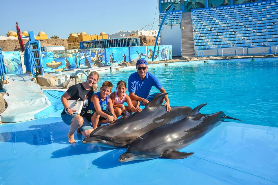 Spectacle de dauphins Hurghada