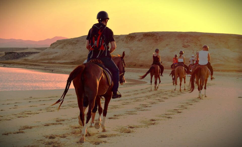 Pferdreiten in Hurghada